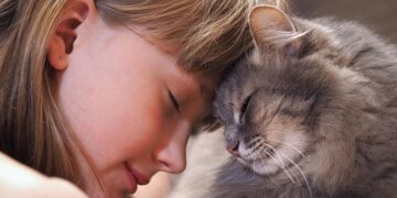Мягкие лапки и теплое сердце: выбираем самую добрую породу кошки для вашего дома