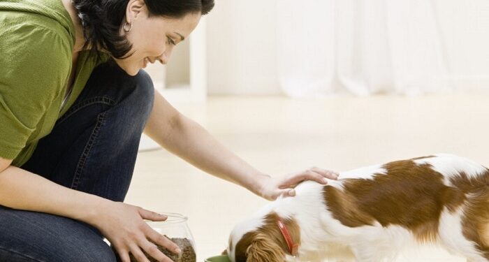 Як правильно годувати собаку: поради ветеринара