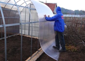 Як ремонтувати теплицю з тепличних плівок