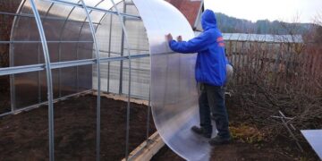 Як ремонтувати теплицю з тепличних плівок