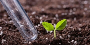 Як мікродобрива змінюють аграрну індустрію