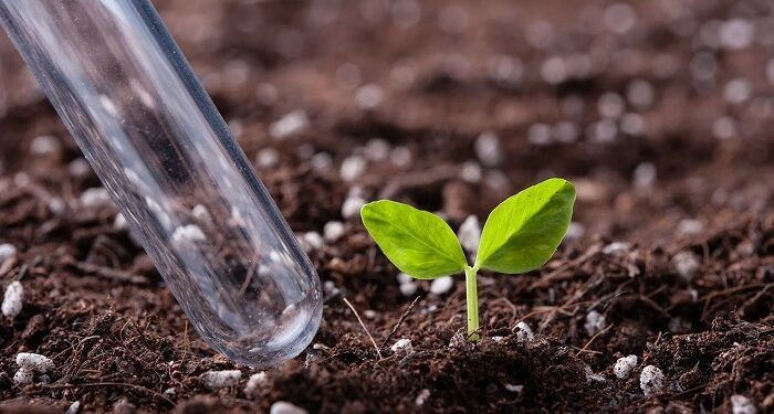 Як мікродобрива змінюють аграрну індустрію