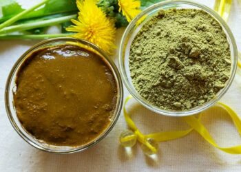 Возрождение традиций с индийской хной