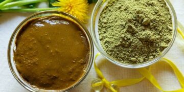 Возрождение традиций с индийской хной