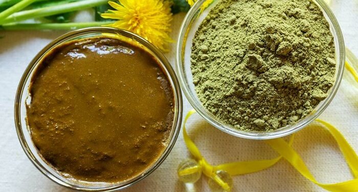 Возрождение традиций с индийской хной