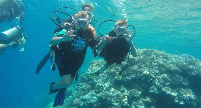 Erkunde die faszinierende unterwasserwelt von Marsa Alam