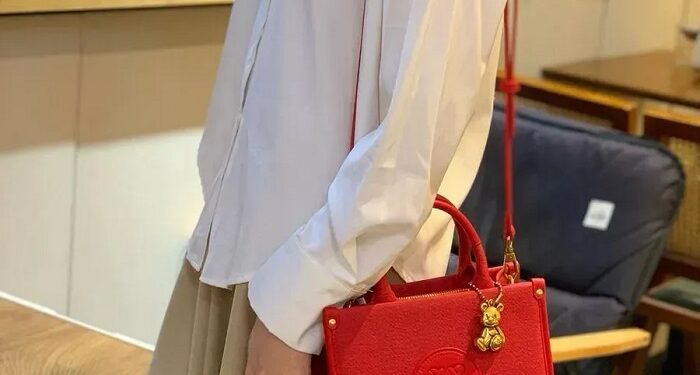 Женские сумки Loewe в магазине Idealism: популярные модели и советы по выбору